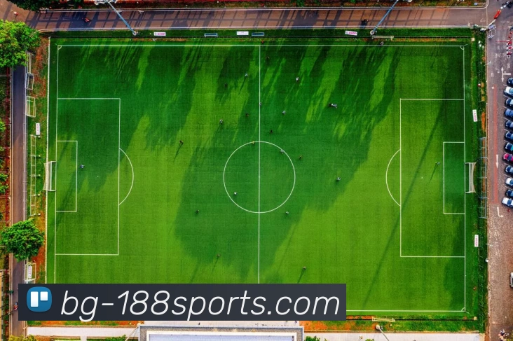 188体育官网入口平台生态图